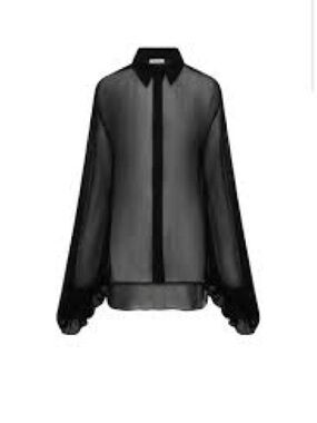 Rat & Boa Black Sheer Long-Sleeve Button Front Blouse
